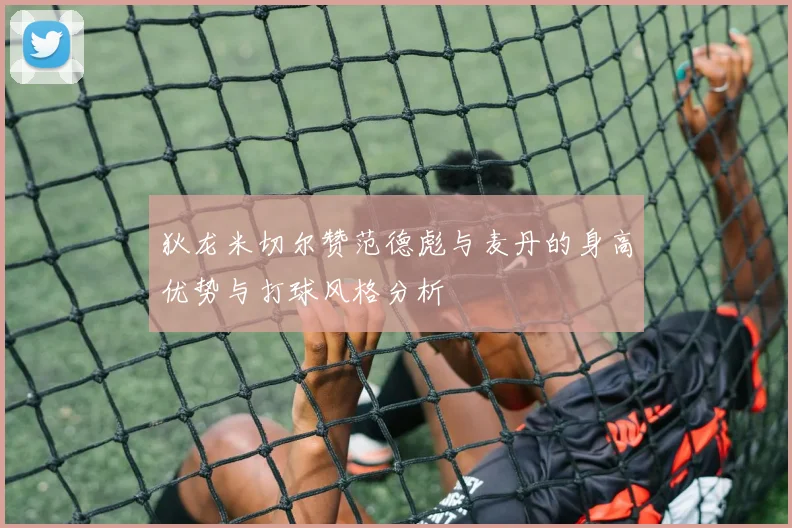 狄龙米切尔赞范德彪与麦丹的身高优势与打球风格分析