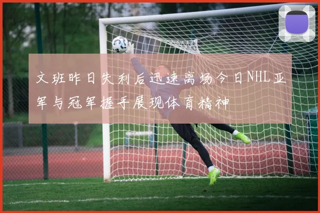文班昨日失利后迅速离场今日NHL亚军与冠军握手展现体育精神