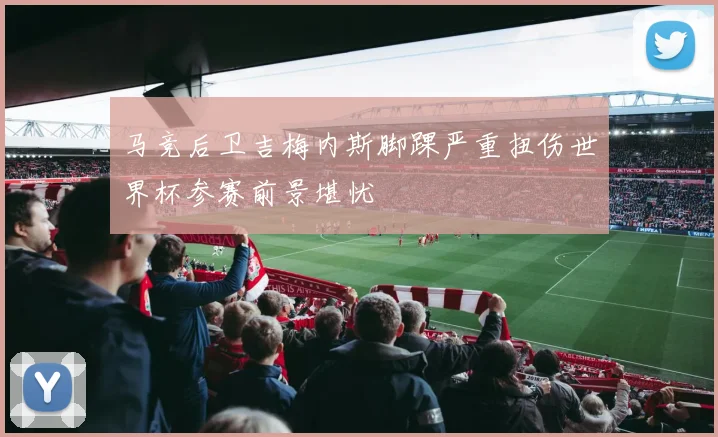 马竞后卫吉梅内斯脚踝严重扭伤世界杯参赛前景堪忧